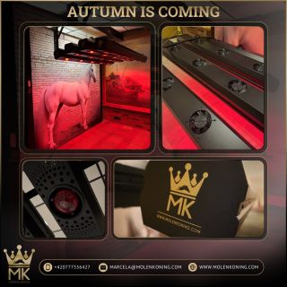 "🍂 Podzim klepe na dveře! Udržte si ve stáji pohodu i během chladnějších dní s MK soláriem. • Pomáhá koním rychleji...