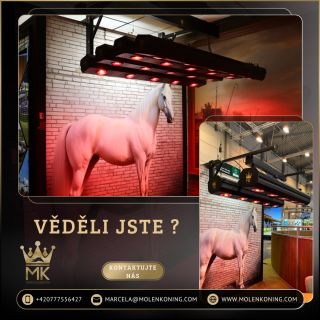 ☀️ Věděli jste to? MK solárium nabízíme ve dvou modelech, aby dokonale odpovídalo vašemu prostoru i potřebám: • Premium (4...